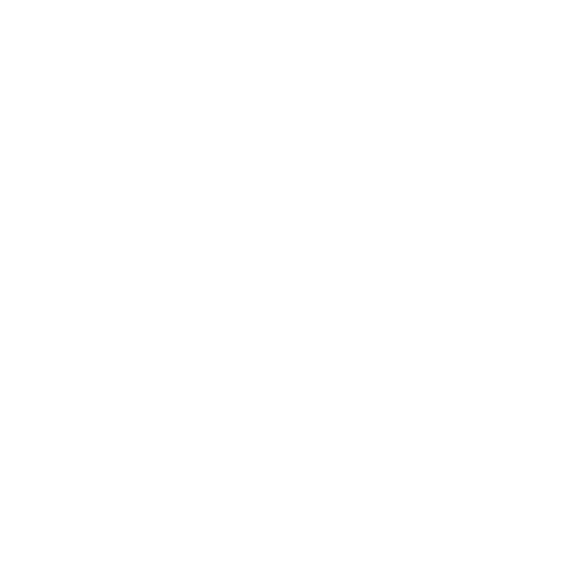 PNG LOGO W copy